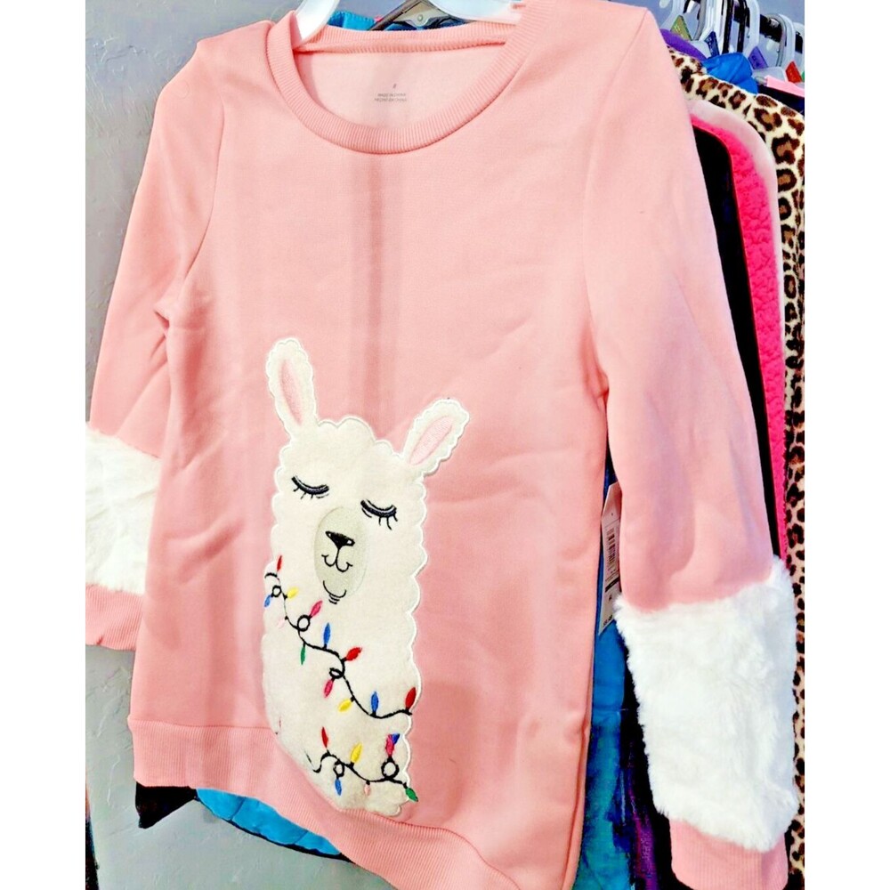 EUC Huge Lot Girls Clothes 10  Pieces FALL/WINTER. Size 16-18‎